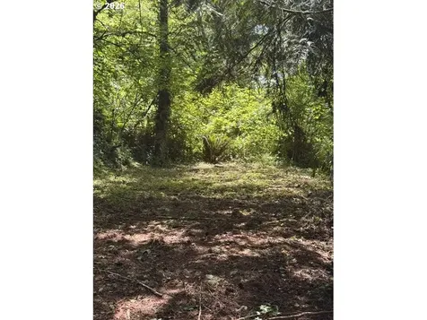 125 Village Road Mossyrock WA 98564