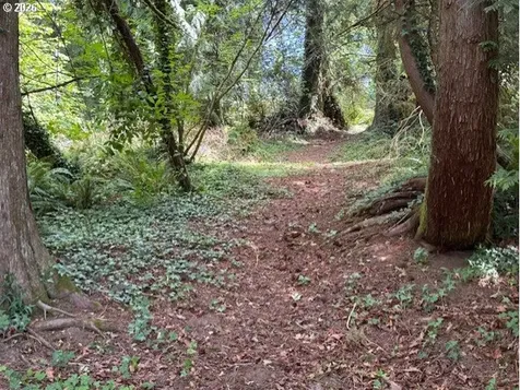 125 Village Road Mossyrock WA 98564
