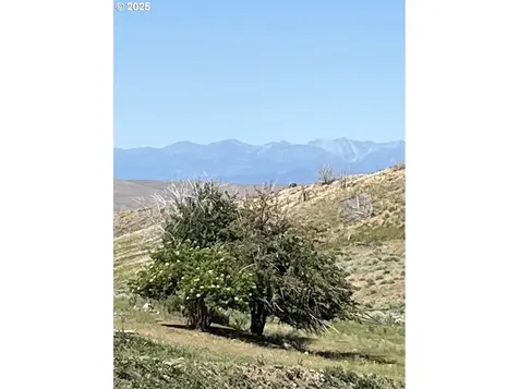36029 Dry Creek Road Baker City OR 97814