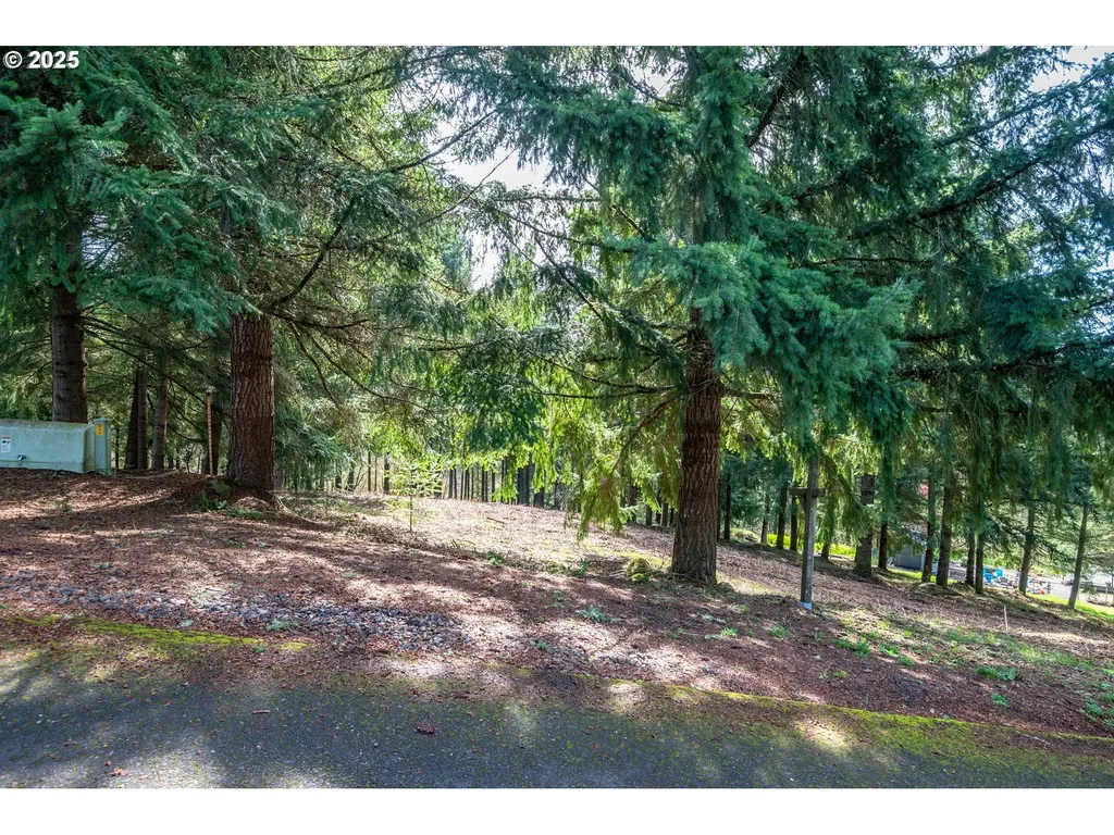 324 Champion Road Kalama WA 98625