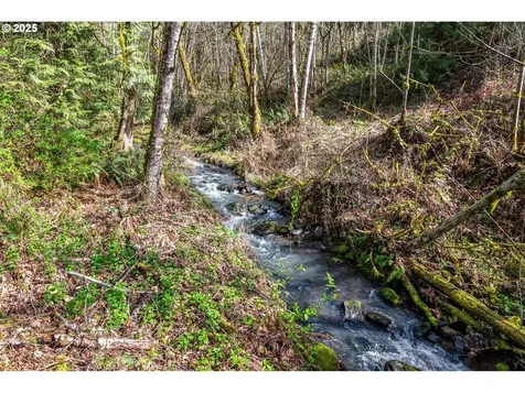 324 Champion Road Kalama WA 98625