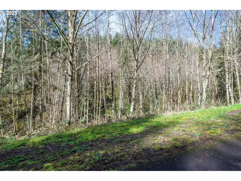 324 Champion Road Kalama WA 98625