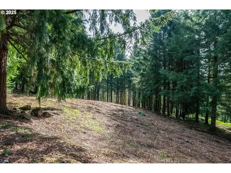 324 Champion Road Kalama WA 98625