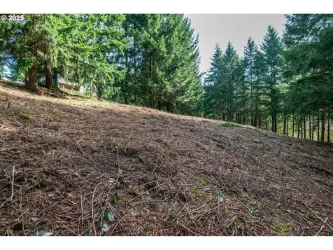 324 Champion Road Kalama WA 98625