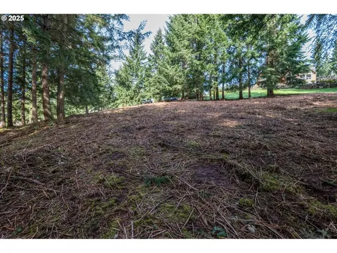 324 Champion Road Kalama WA 98625