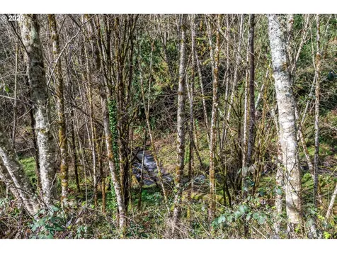 324 Champion Road Kalama WA 98625