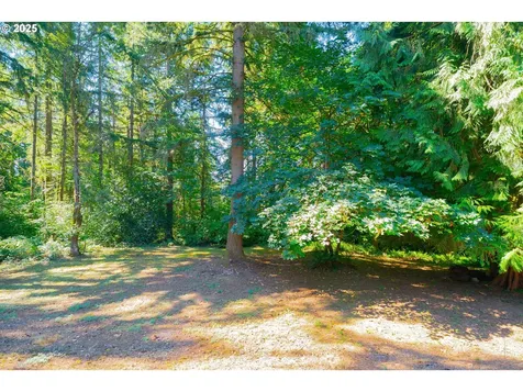 18511 NE 181st Street Brush Prairie WA 98606