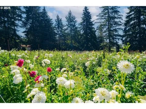 18511 NE 181st Street Brush Prairie WA 98606