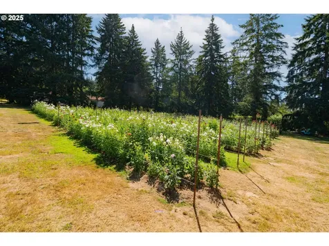 18511 NE 181st Street Brush Prairie WA 98606