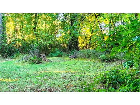 82147 Lost Valley Lane Dexter OR 97431