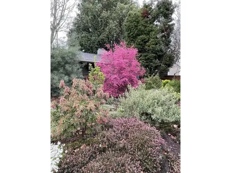 3811 SE 40th Avenue Portland OR 97202