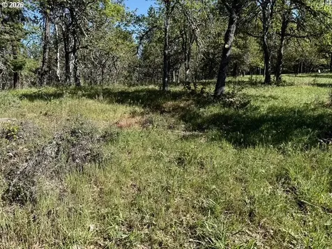2215 Pine Oak Road Mosier OR 97040