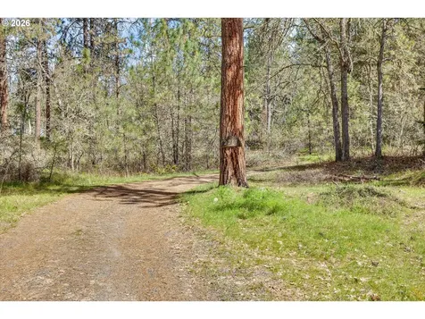 2215 Pine Oak Road Mosier OR 97040