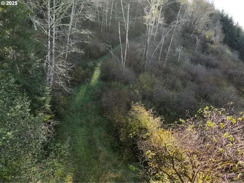 17360 Mountain Drive Brookings OR 97415