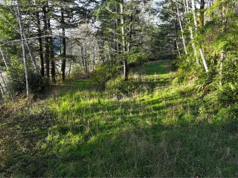 17360 Mountain Drive Brookings OR 97415