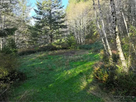 17360 Mountain Drive Brookings OR 97415