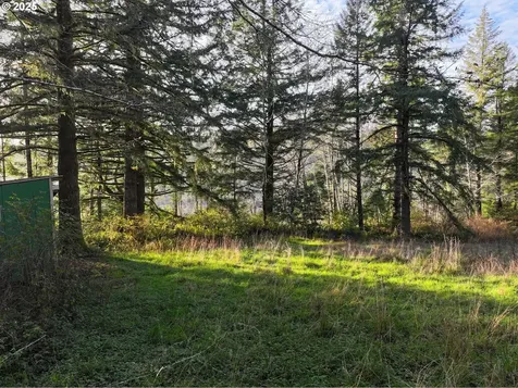 17360 Mountain Drive Brookings OR 97415