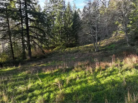 17360 Mountain Drive Brookings OR 97415