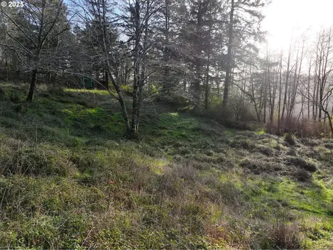 17360 Mountain Drive Brookings OR 97415