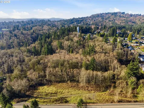 115 Alpha Drive Longview WA 98632