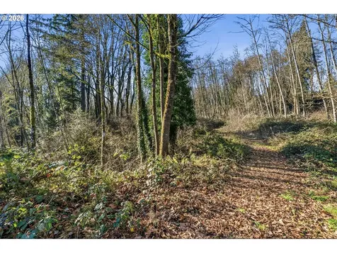 115 Alpha Drive Longview WA 98632