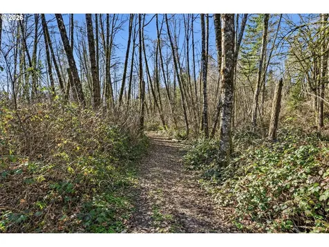 115 Alpha Drive Longview WA 98632
