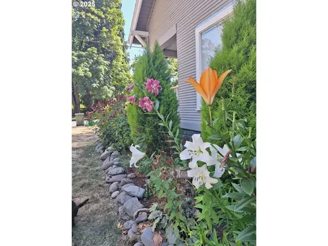 202 Adams Avenue Cottage Grove OR 97424