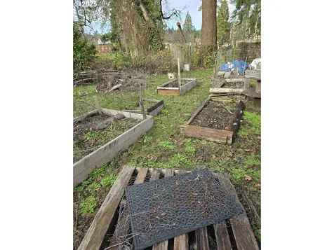 202 Adams Avenue Cottage Grove OR 97424