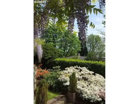 3833 SW Greenleaf Drive Portland OR 97221