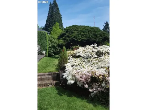 3833 SW Greenleaf Drive Portland OR 97221