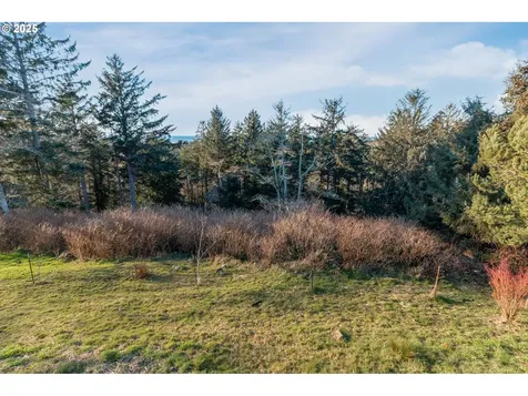 46990 Terrace Drive Neskowin OR 97149