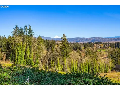 0 Green View Estates 2 Washougal WA 98671