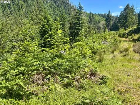 Myrtle Creek OR 97457