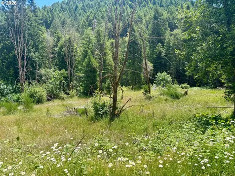 Myrtle Creek OR 97457