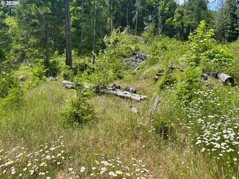 Myrtle Creek OR 97457