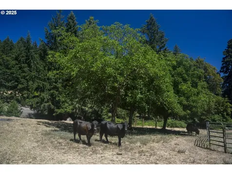 1620 Touchstone Lane Roseburg OR 97471