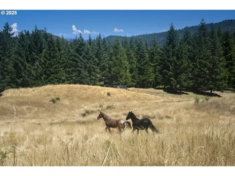 1620 Touchstone Lane Roseburg OR 97471