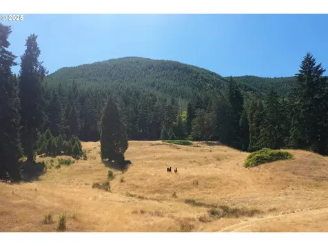 1620 Touchstone Lane Roseburg OR 97471