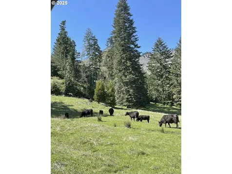 1620 Touchstone Lane Roseburg OR 97471