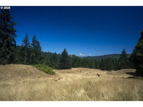 1620 Touchstone Lane Roseburg OR 97471