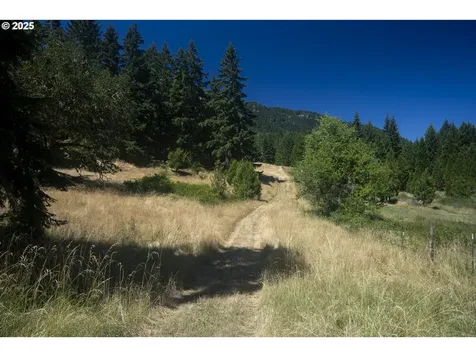 1620 Touchstone Lane Roseburg OR 97471