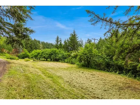 50519 SW Scoggins Valley Road Gaston OR 97119