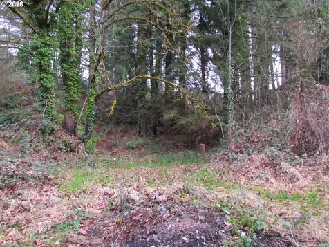 31191 New Kirk Road Scappoose OR 97056