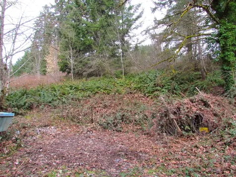 31191 New Kirk Road Scappoose OR 97056