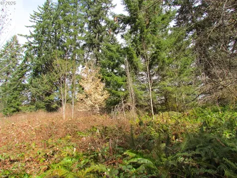 31191 New Kirk Road Scappoose OR 97056