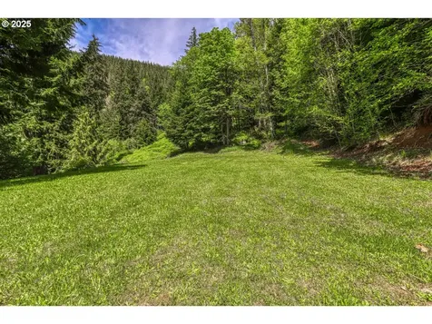 24802 NE 432nd Street Amboy WA 98601