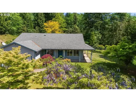 24802 NE 432nd Street Amboy WA 98601