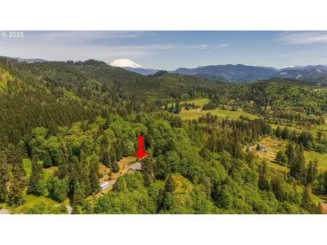24802 NE 432nd Street Amboy WA 98601