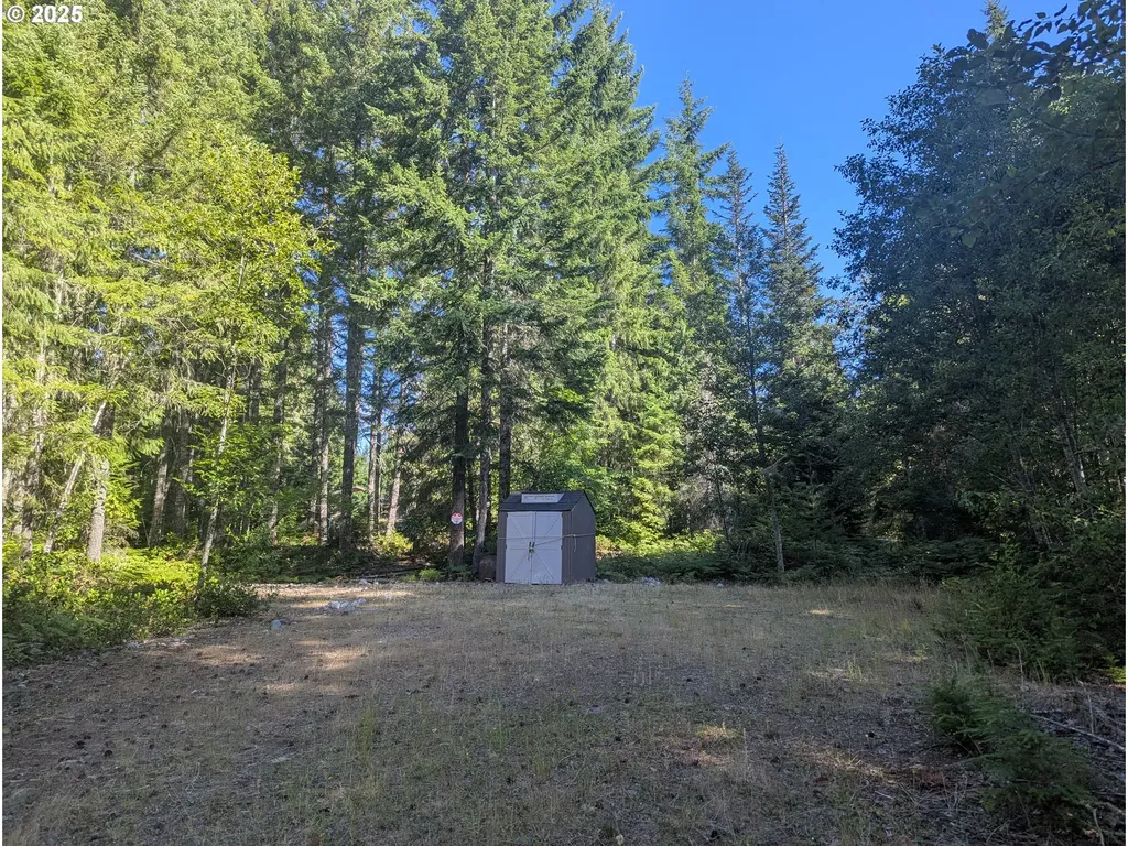 30 Nymark Drive Cougar WA 98616