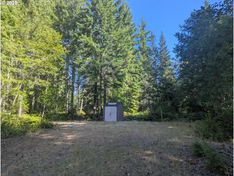 30 Nymark Drive Cougar WA 98616